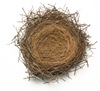 iStock_000002524909XnestSmall